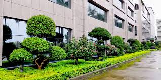 今年会官方网站 巩义市政绿化公司需要建造师吗知乎