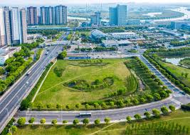 今年会jinnianhui官网 安达绿化树交易市场